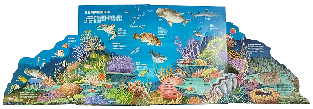 大知識大百科3D立體書：大海洋